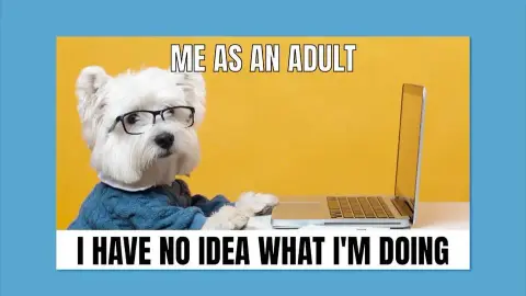 Co je meme a proč se šíří jako virus? 