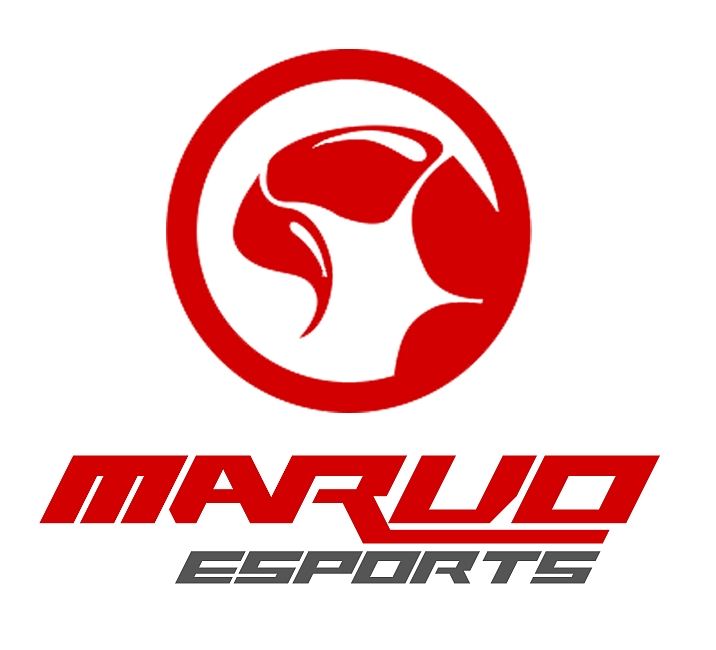 Marvo eSports nováčkem na české herní scéně