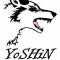 YoSHiN225