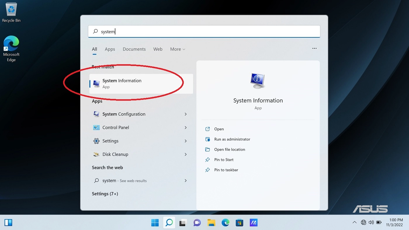 Windows System Information window showing how to open it