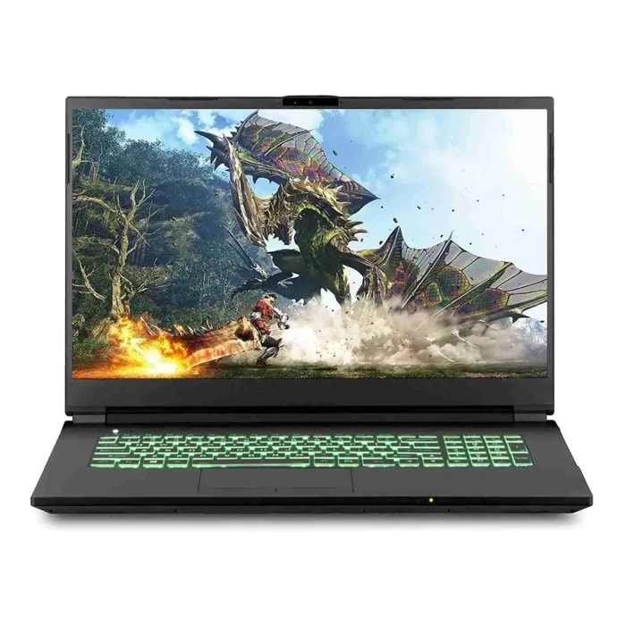 Sager NP7879 Gaming