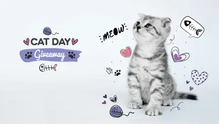 Cat Day Instagram Giveaway