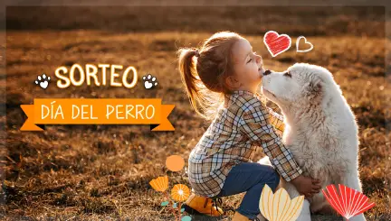 Sorteo del Día del Perro en Instagram