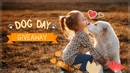 International Dog Day Instagram Giveaway