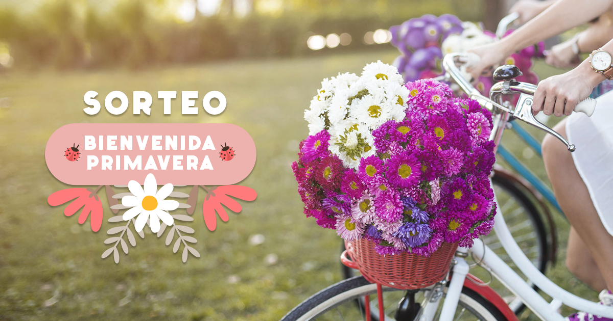 Plantilla De Sorteo En Instagram De Primavera