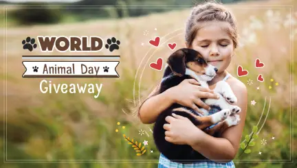 World Animal Day Instagram Giveaway