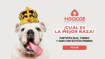 Torneo de razas de perro (por votación de participantes - 16 candidatos)