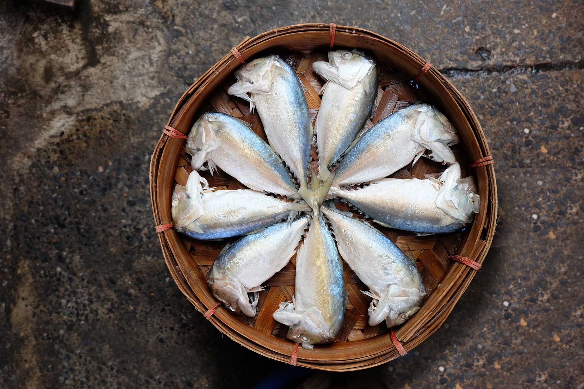 mackerel-eating-festival-and-good-things-of-mae-klong-city