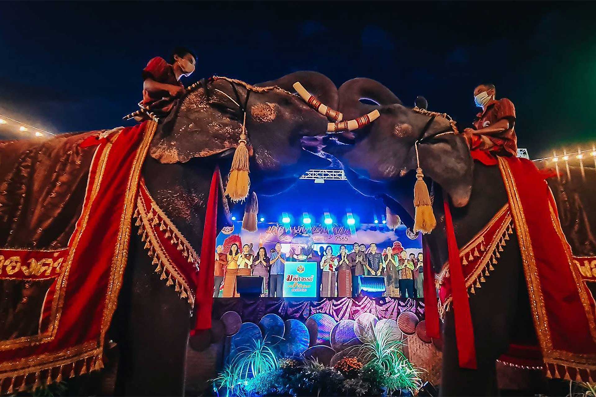 amazing-surin-elephant-fair-2023