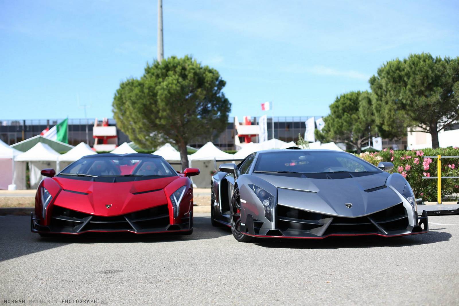 all lamborghini venenos