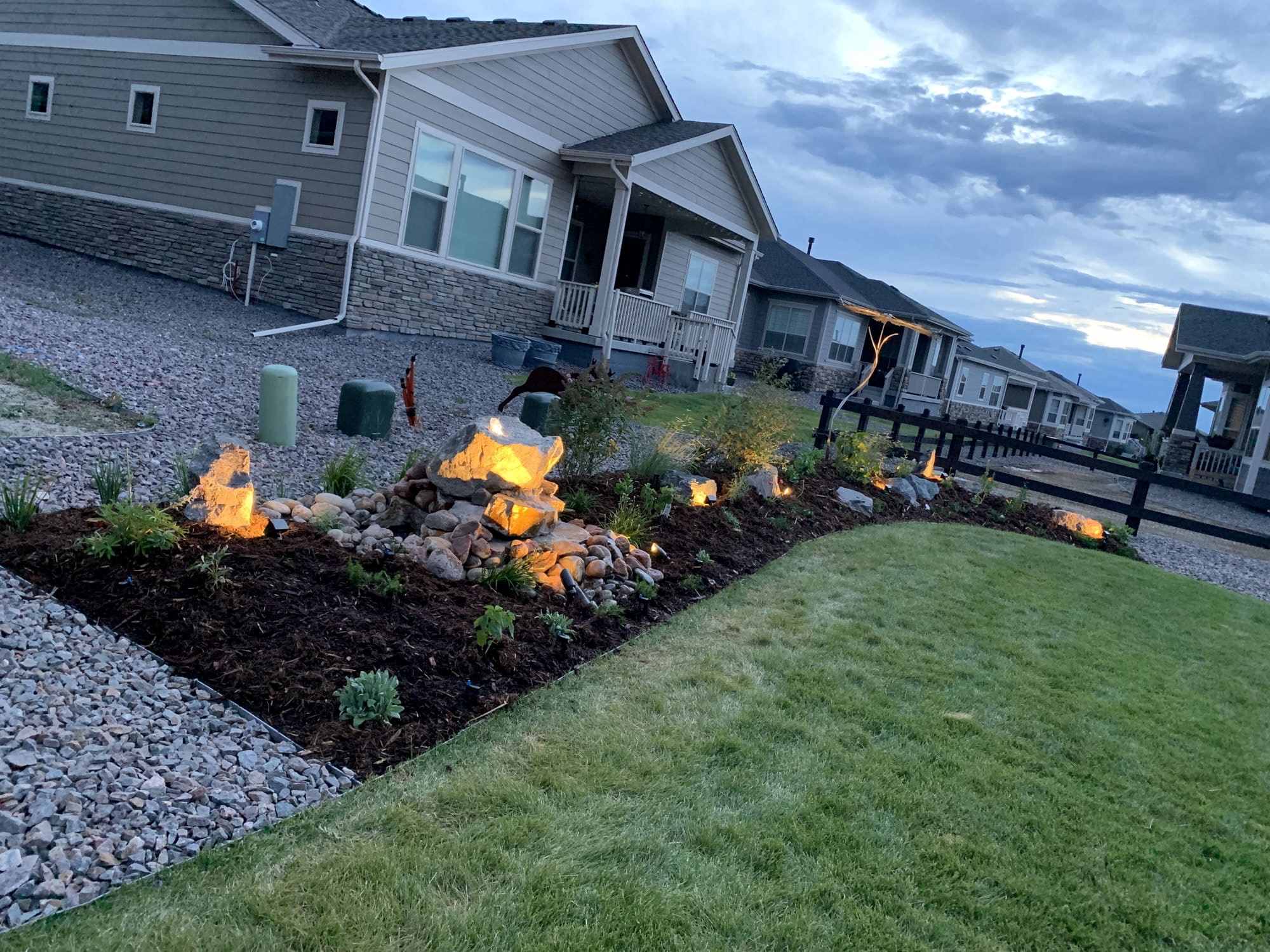 Denver Patio Plants