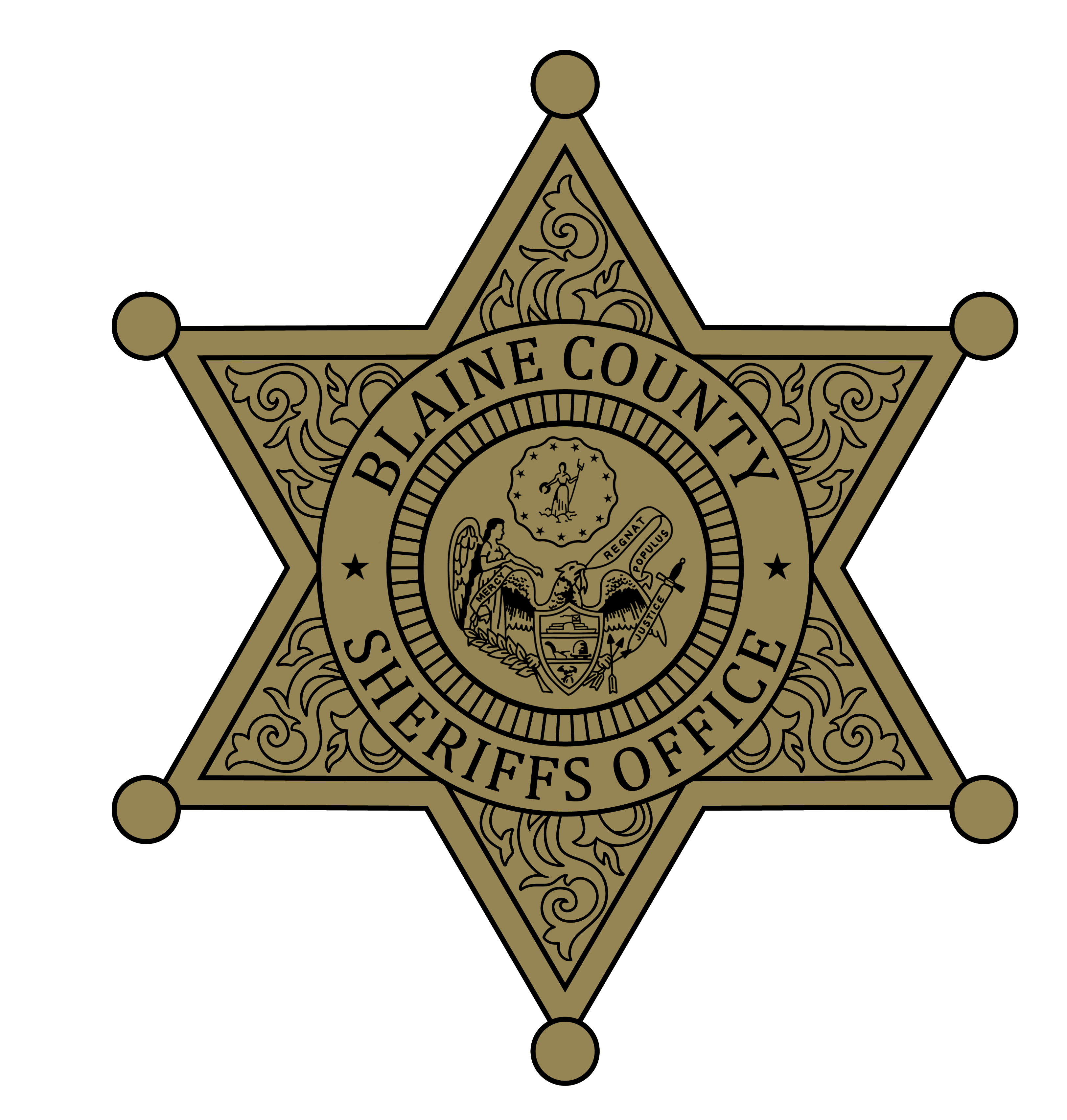 BCSO Application