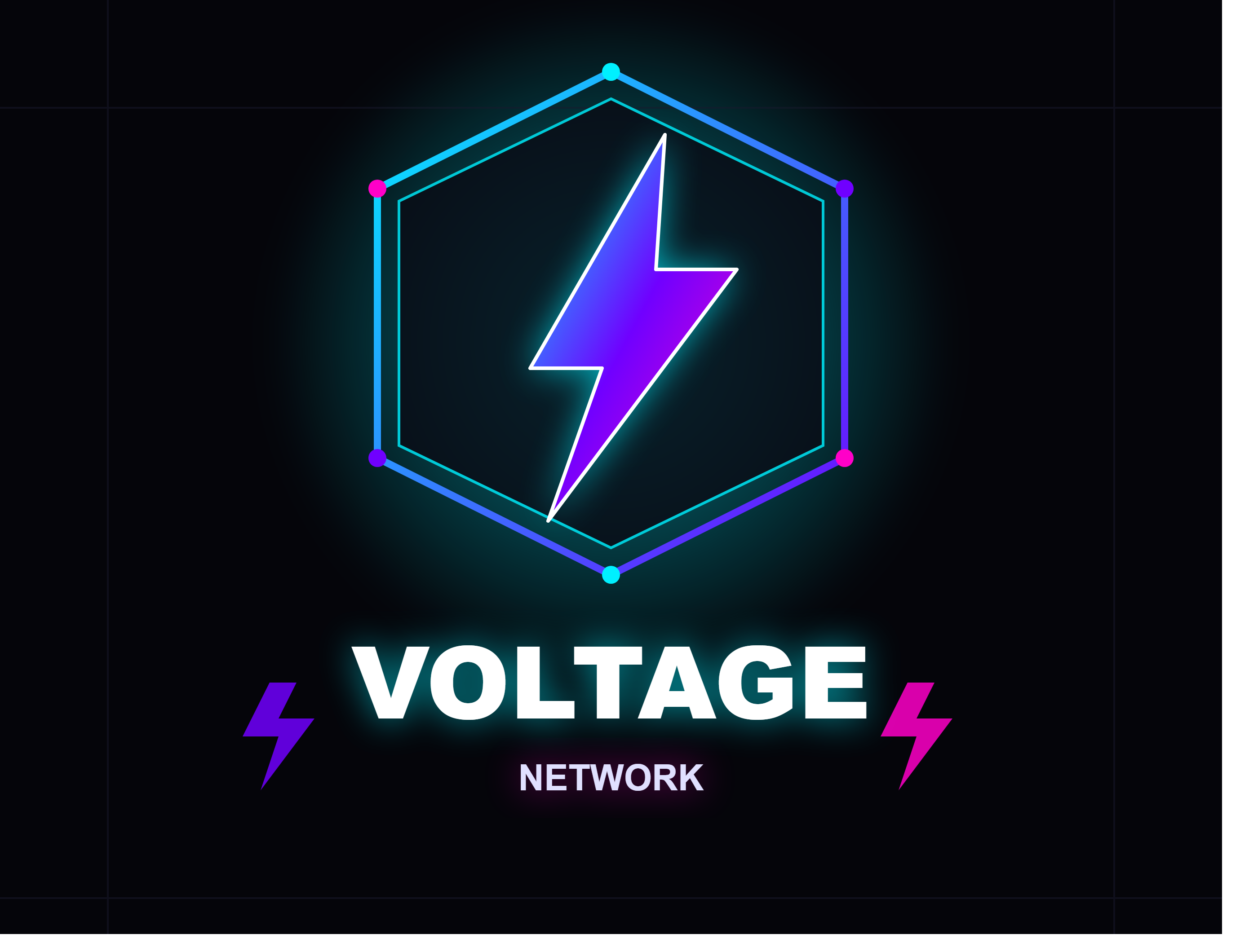 Voltage Network