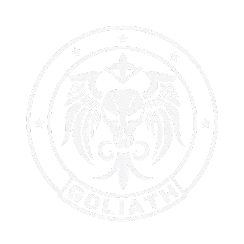 Task Force Goliath