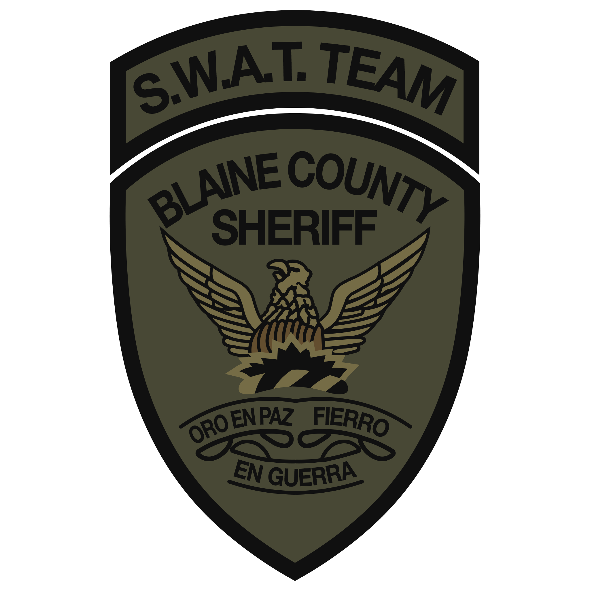 BCSO Swat Application