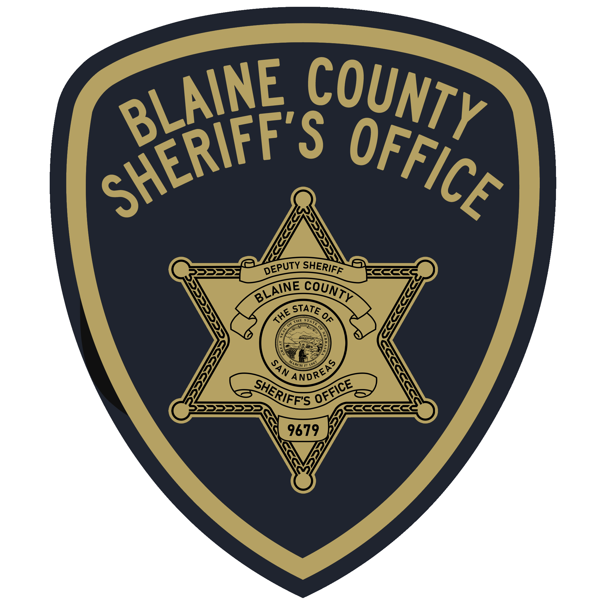 BCSO T.E.U Application