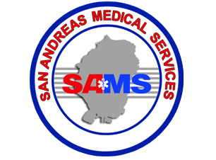 San Andreas Medical Services - Application