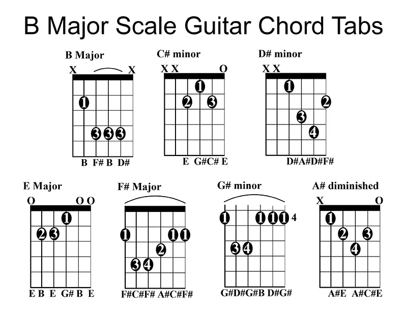 7 basic B Major Scale Guitar Chord Tabs