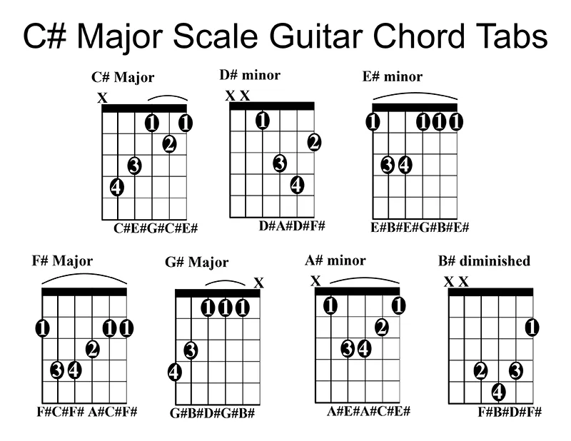 7 basic C-sharp Major Scale chord tabs on a Guitar