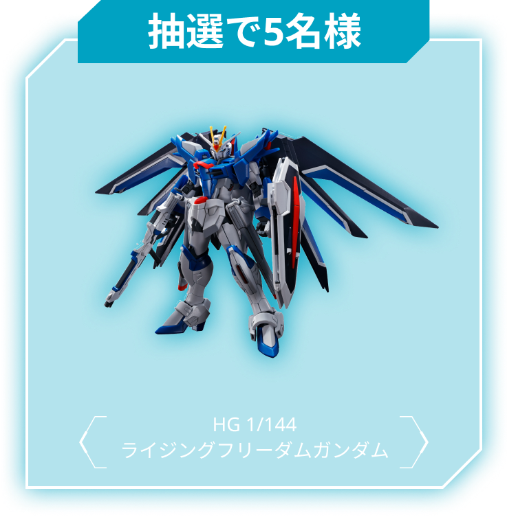 抽選で5名 HG 1/144 ライジングフリーダムガンダム