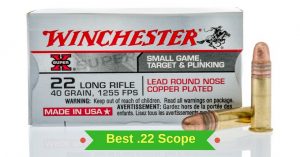 Best .22 Scope