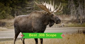 Best .308 Scope