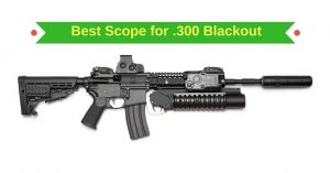 Best Scope for 300 Blackout