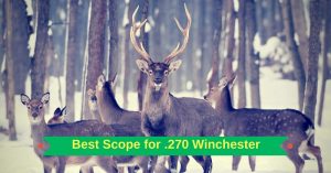 Best Scope for 270 Winchester