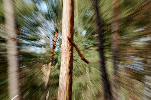 A picture taken while zoom