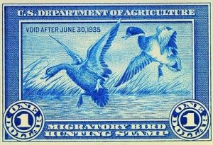 Duck Stamp