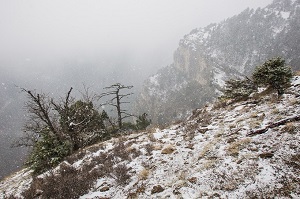 Heavy snow in the mountain trekking