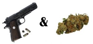 guns and marijuana