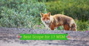 Best Scope for 17 WSM