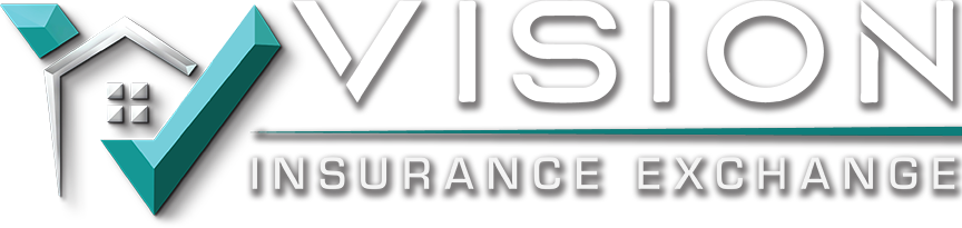 VISION-Logo