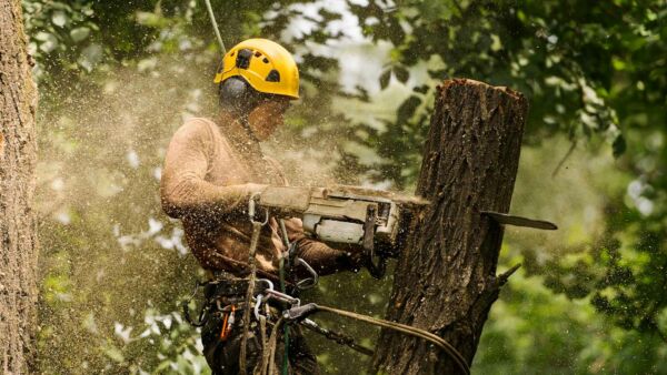 Arborist Insurance in Pennsylvania Insurance for Arborists