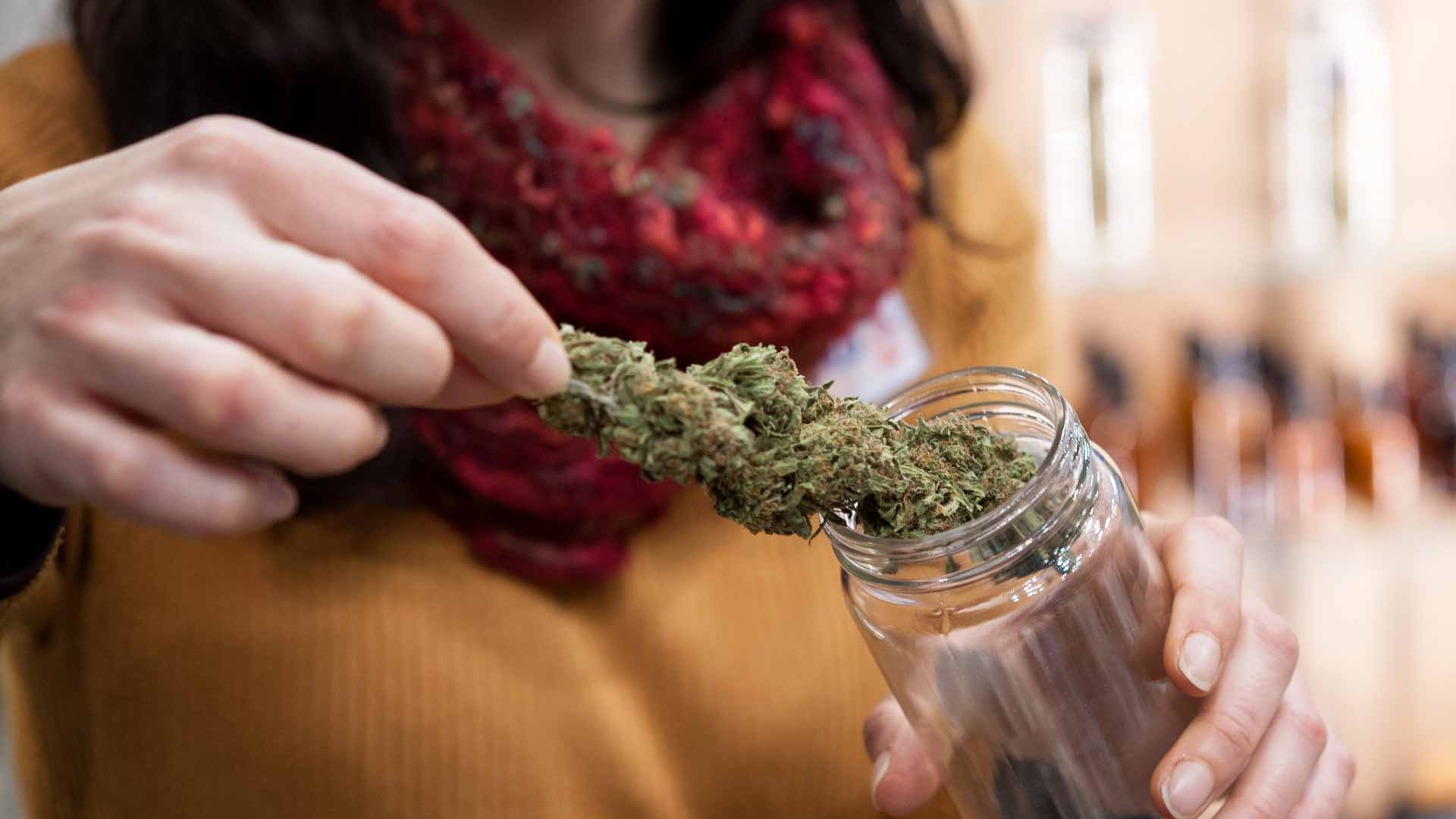 Small business cannabis insurance in Pennsylvania Insurance for Cannabis Dispensaries