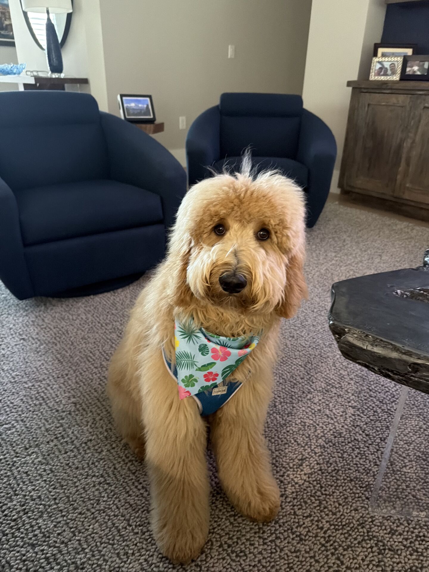 Louie