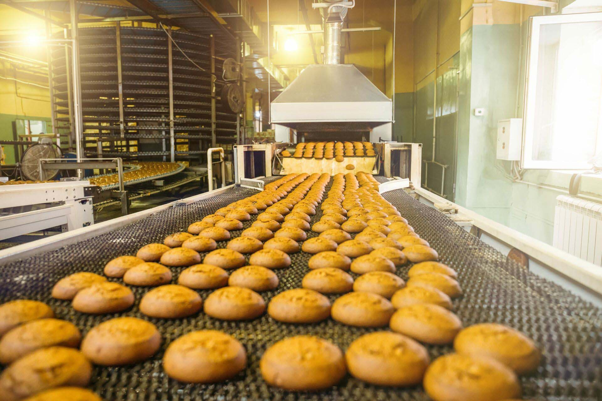 5196377 Cakes on automatic conveyor belt or line, process of bak Insurance for Food and Beverage Manufacturers