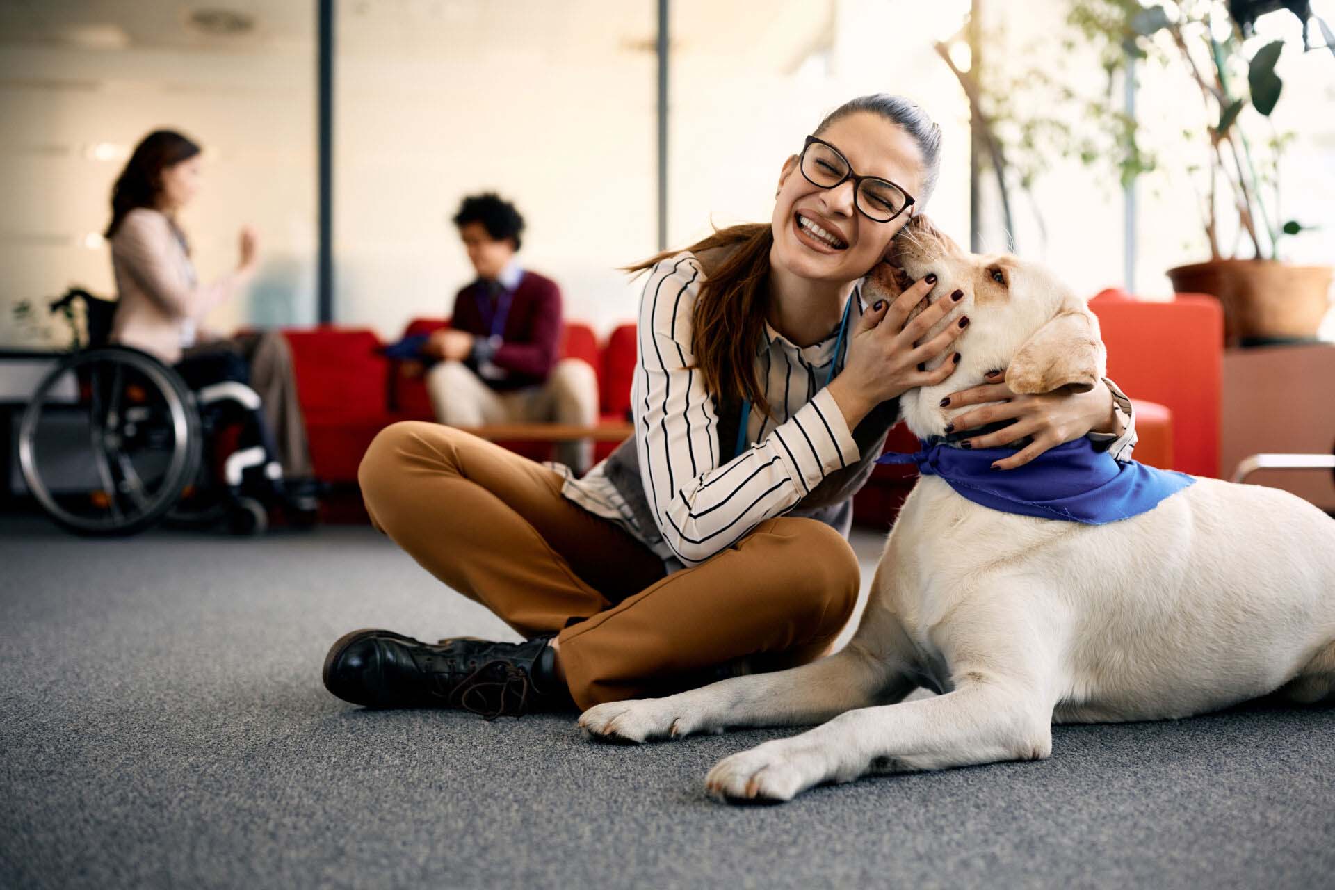 Happy businesswoman embraces her Labrador therapy dog and having fun in office. Insurance for Animal-Assisted Therapists