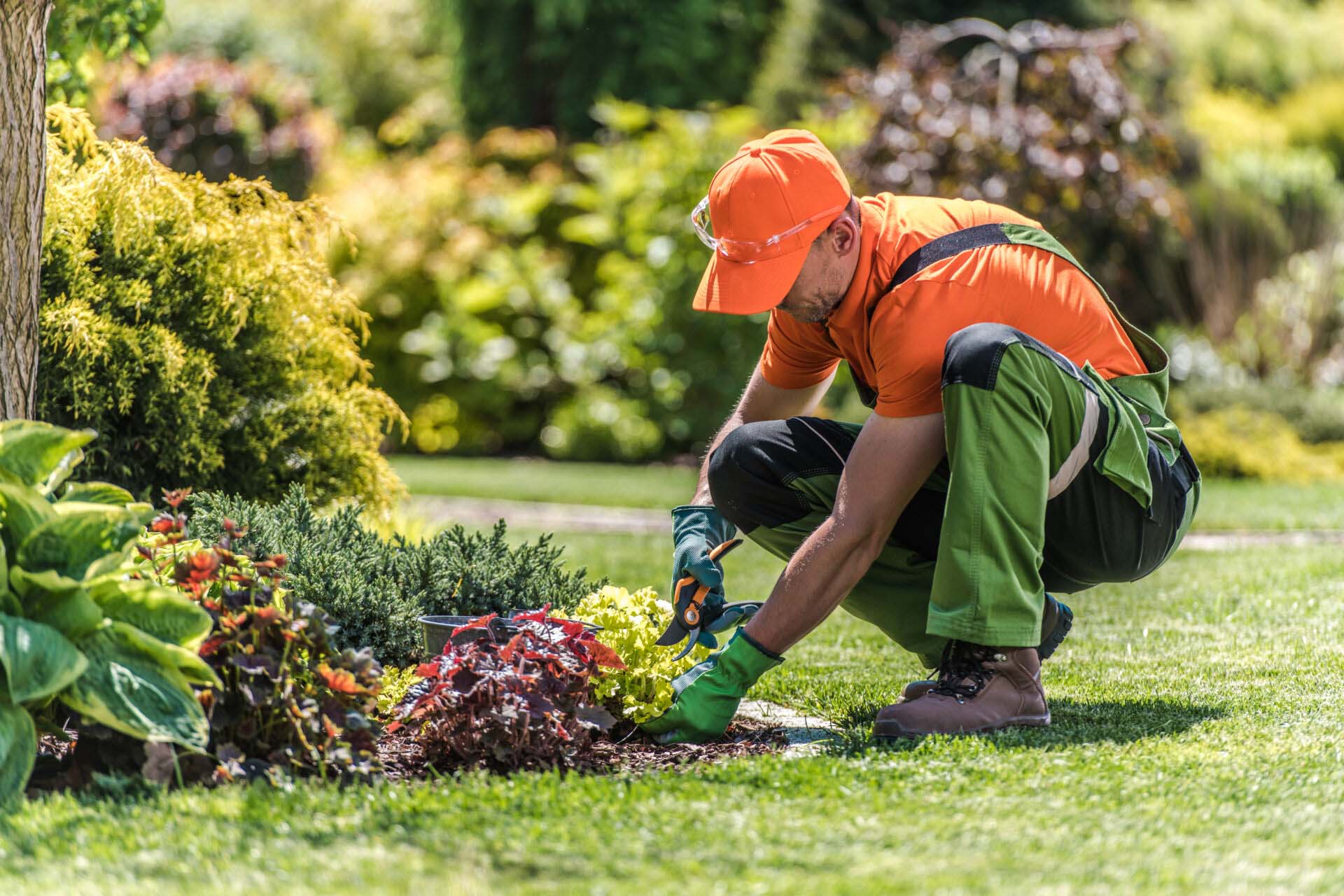 Gardener Pruning Plants with Garden Scissors Insurance for Permanent Yard Contractors