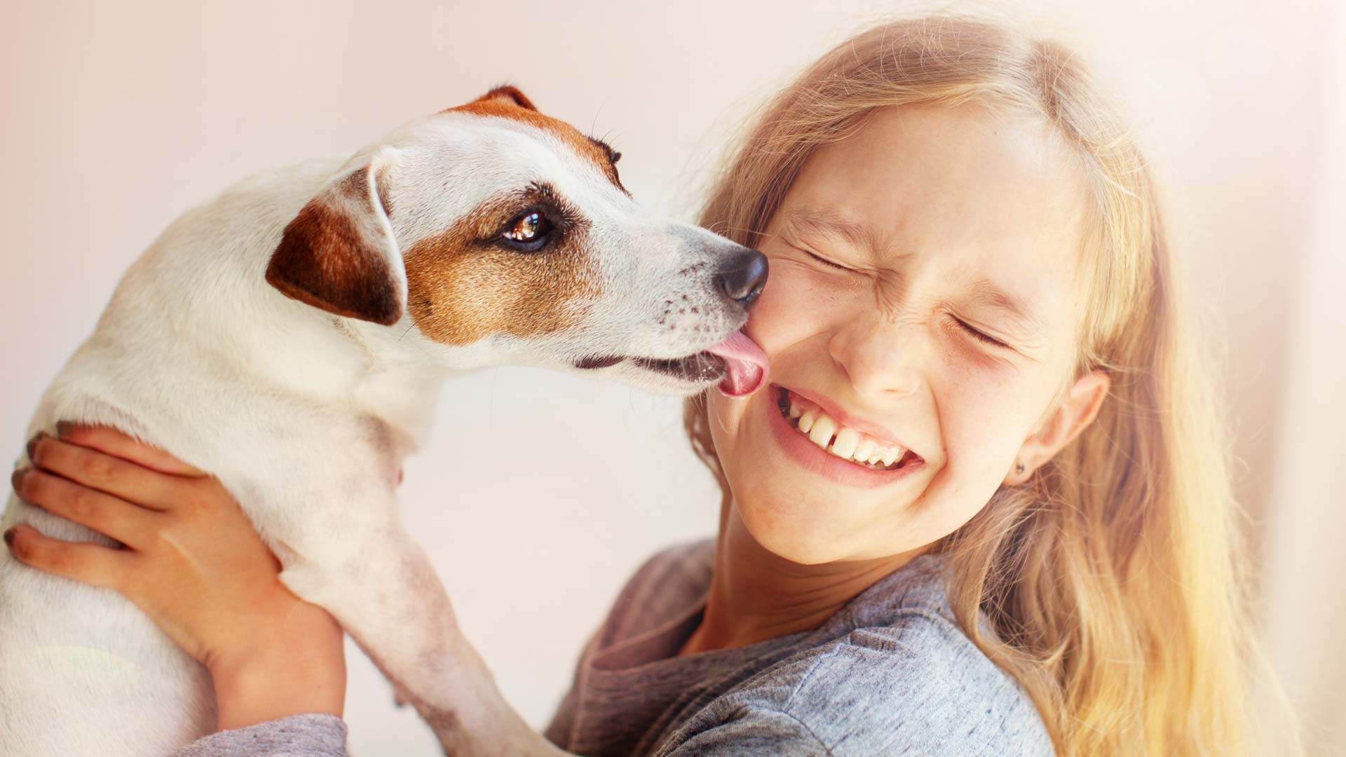 Pet Insurance in Pennsylvania Pet Insurance in Pennsylvania