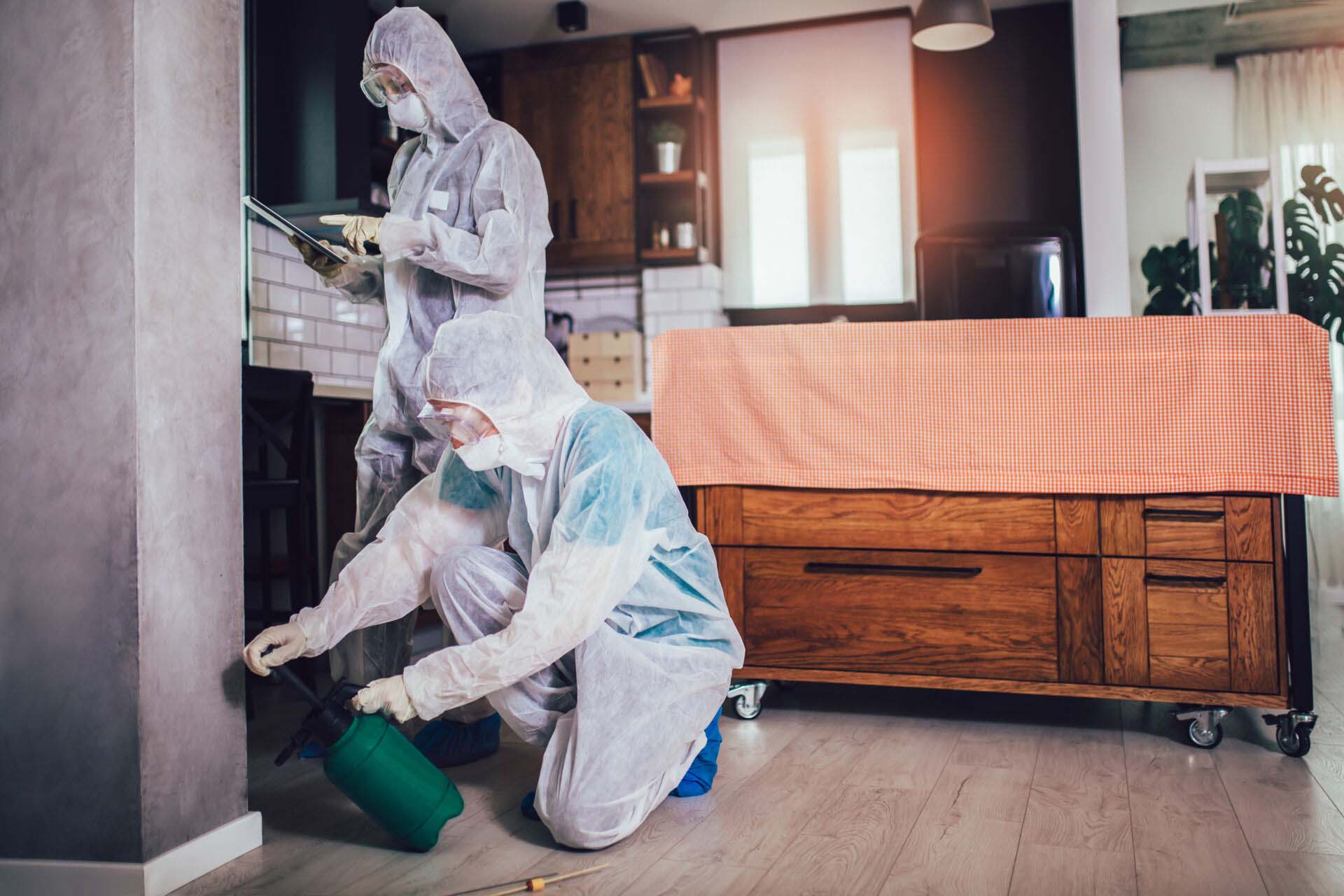 Specialists in protective suits do disinfection or pest control in the apartment. Insurance for Pest Control and Exterminator Businesses