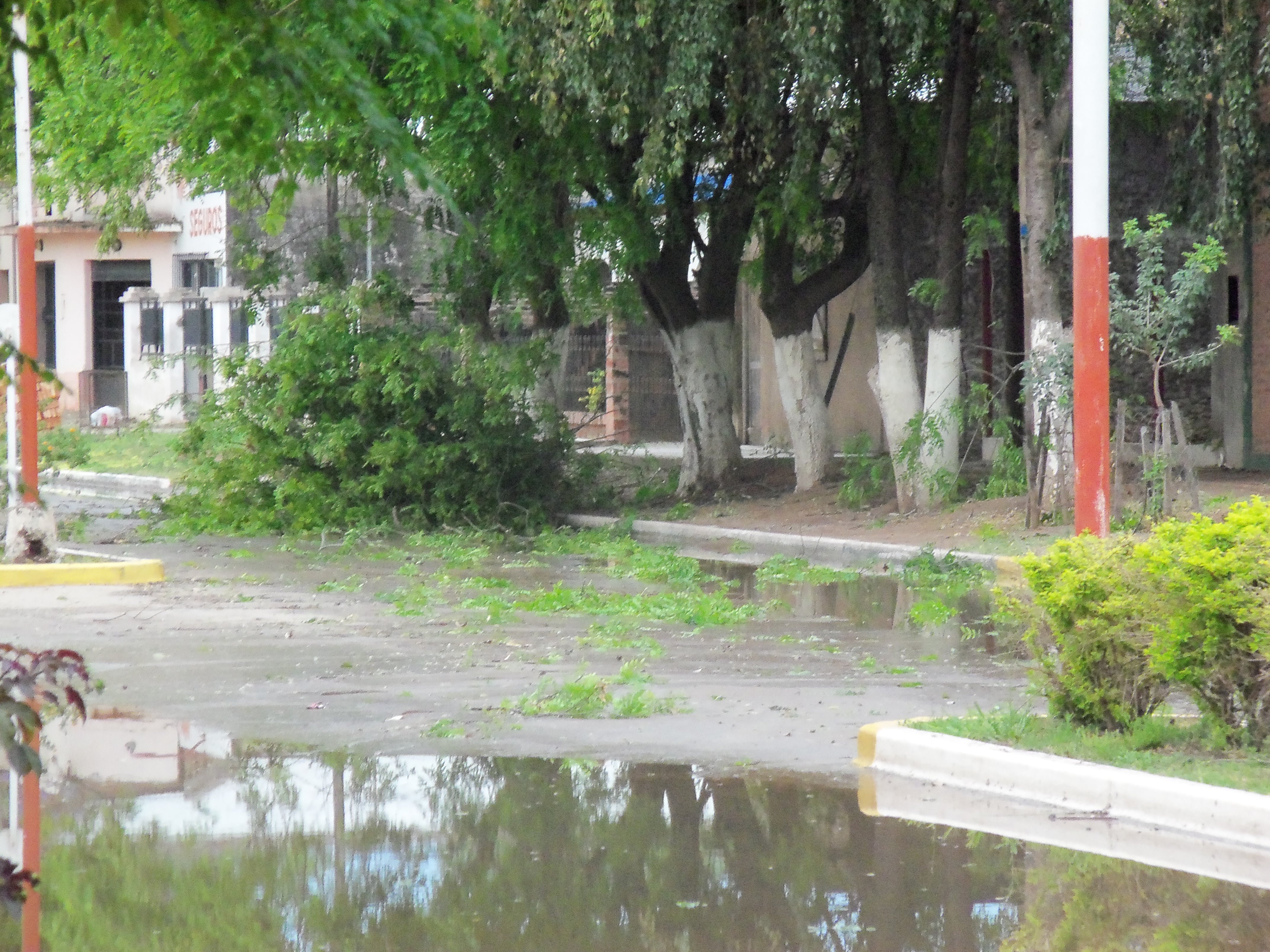 Imagen