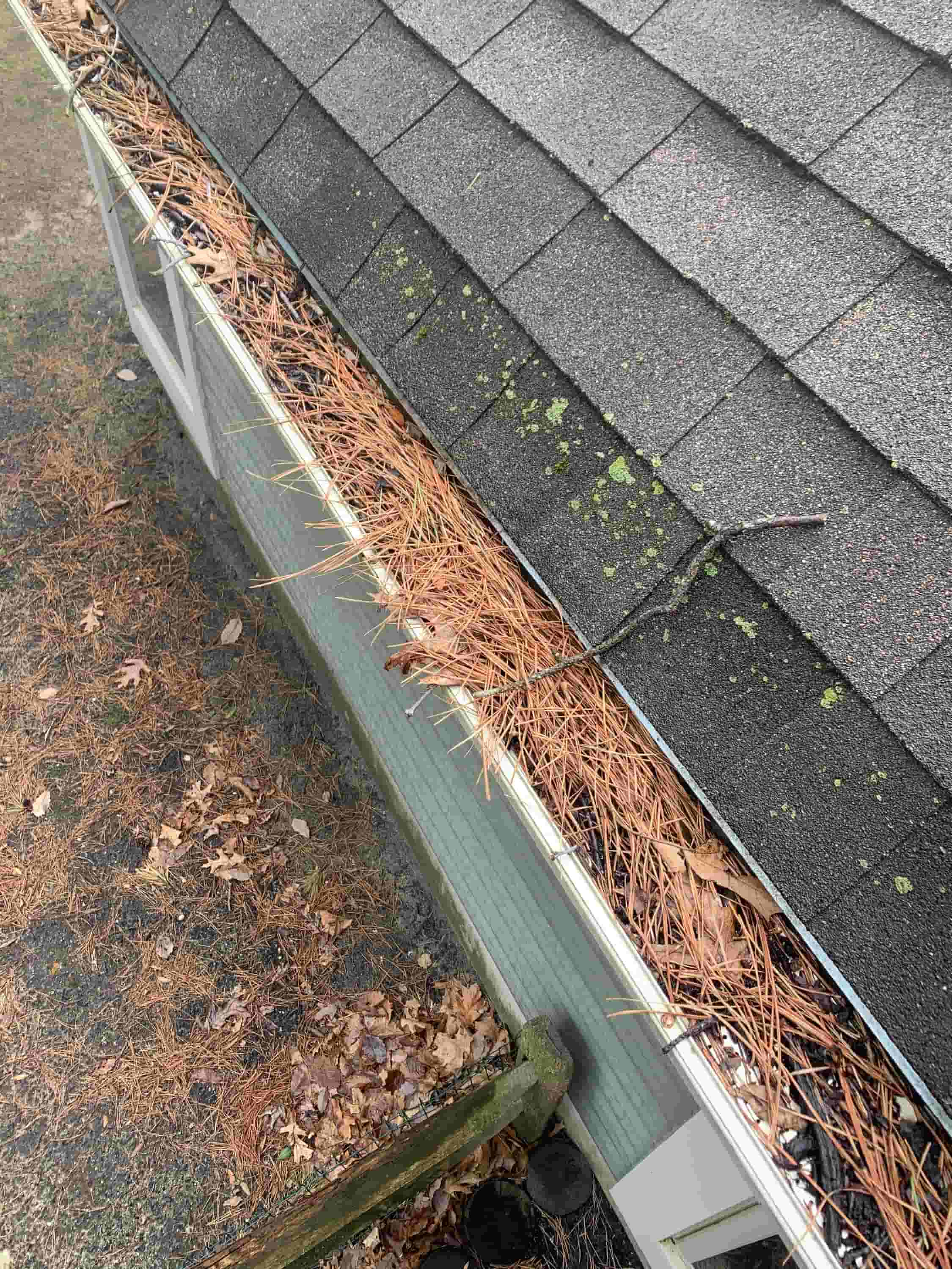 gutter cleaning companies hate this