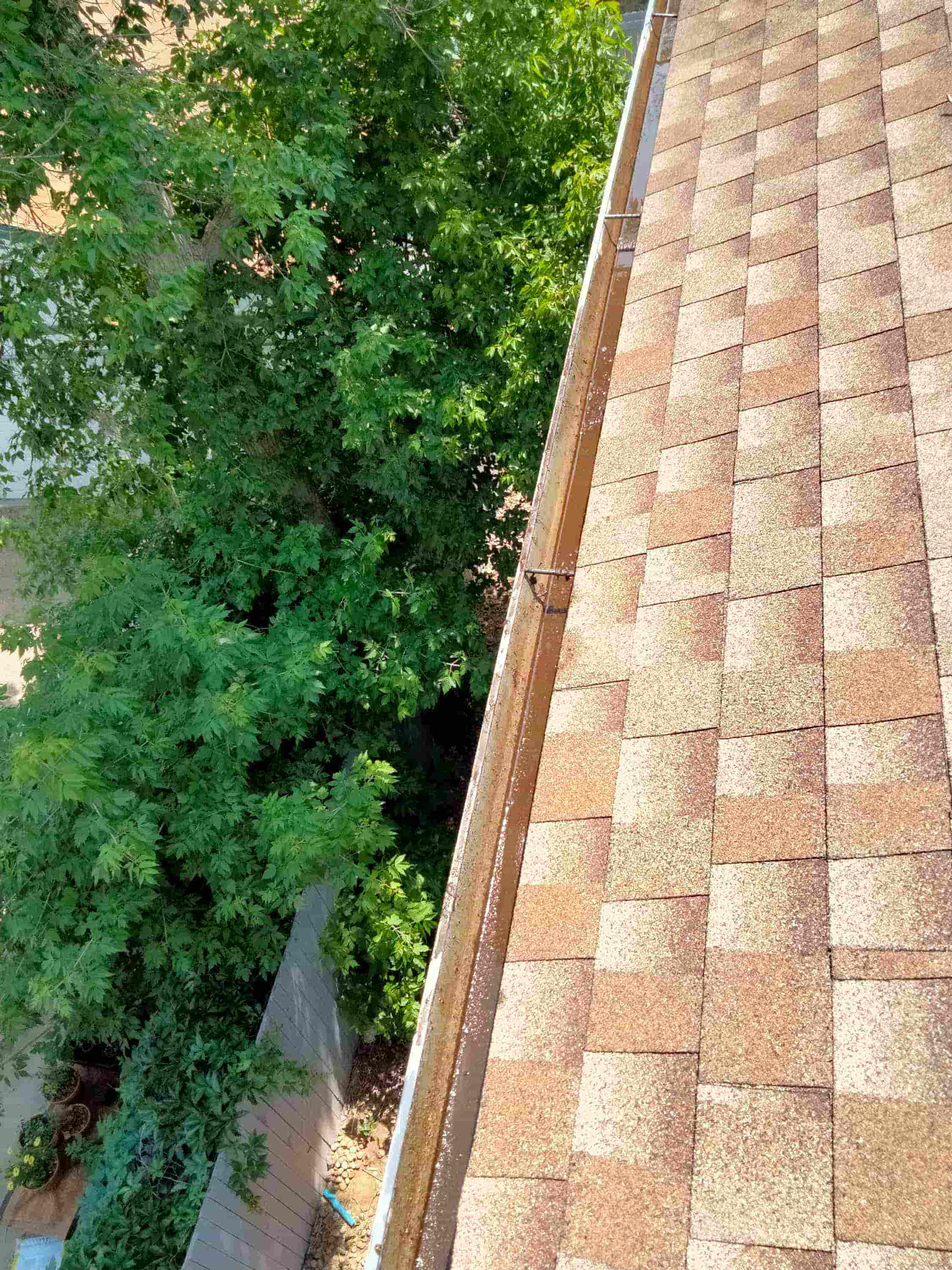 gutter and roof cleaning