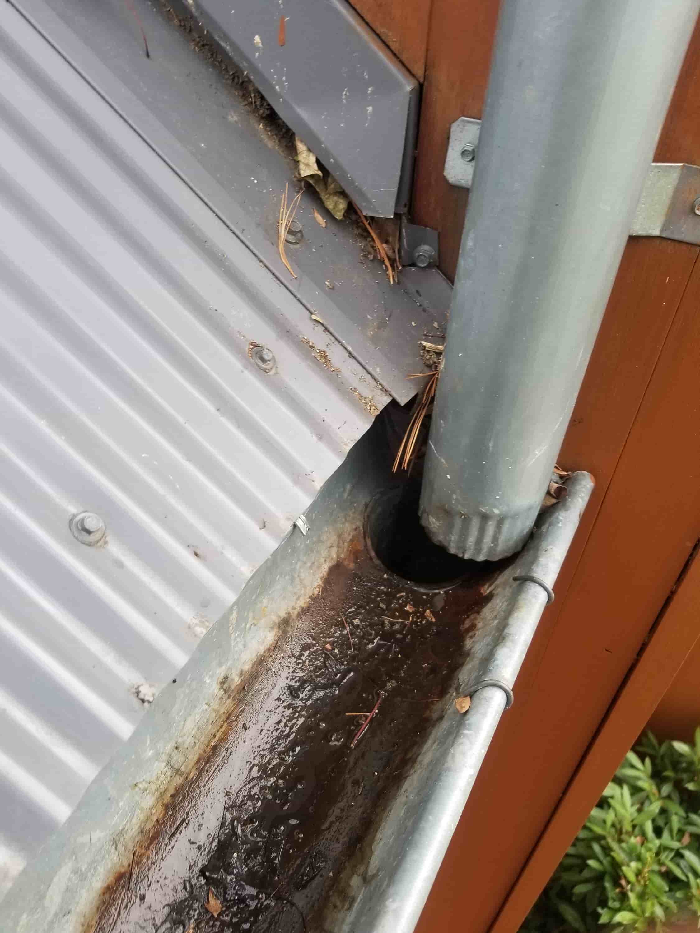 gutter cleaning system suppliers