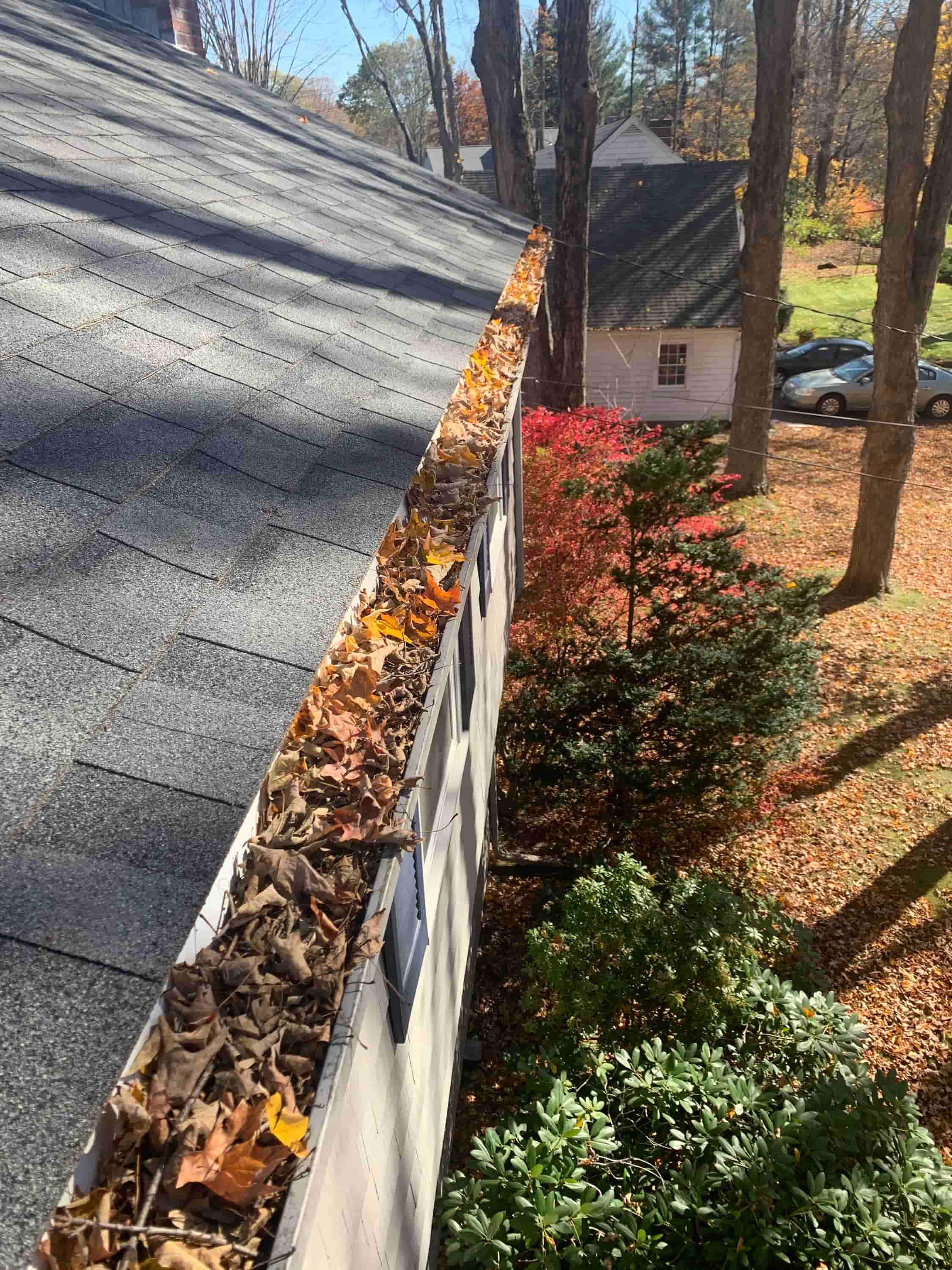 cleaning gutters