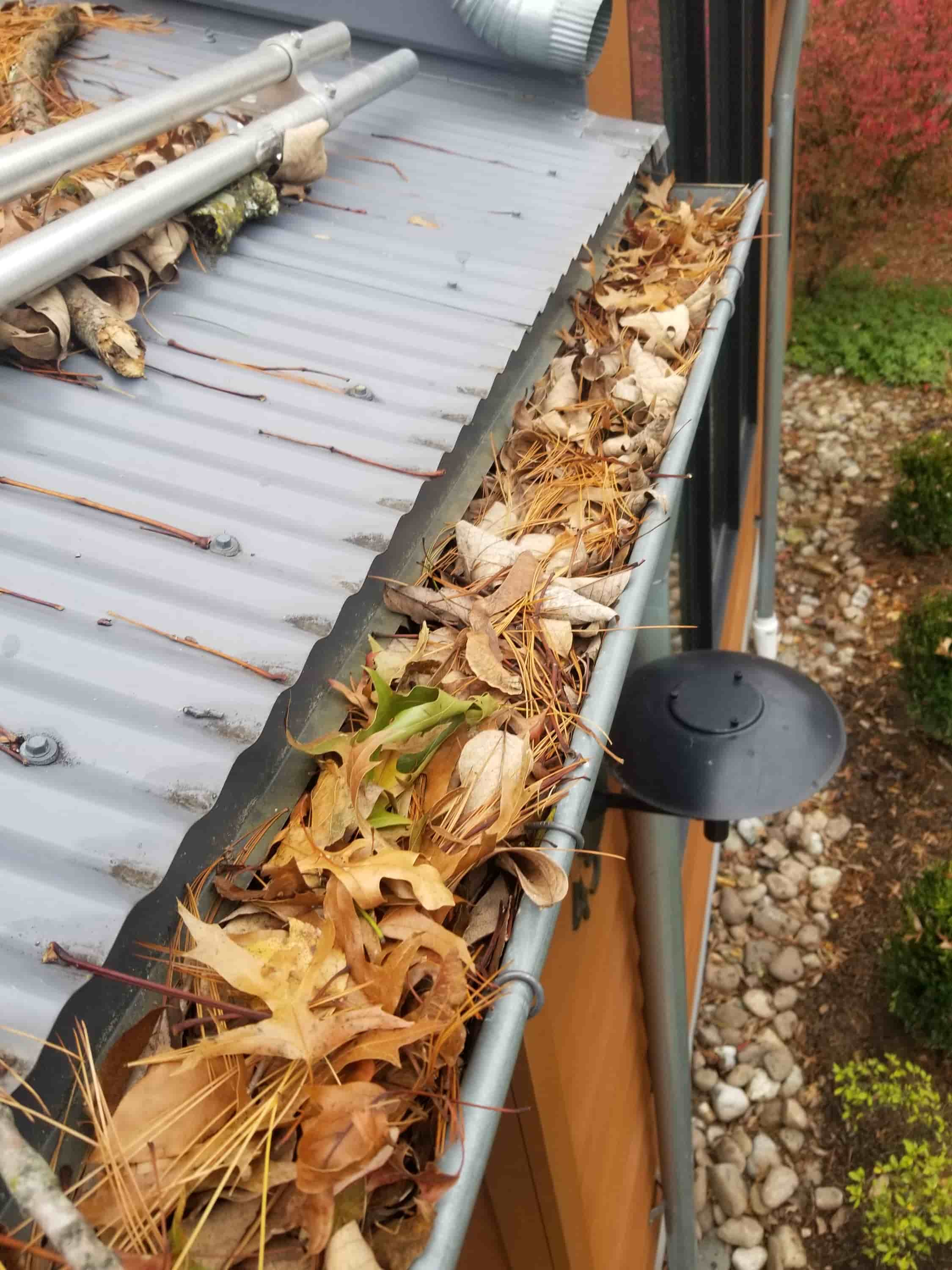 safest way to clean gutters