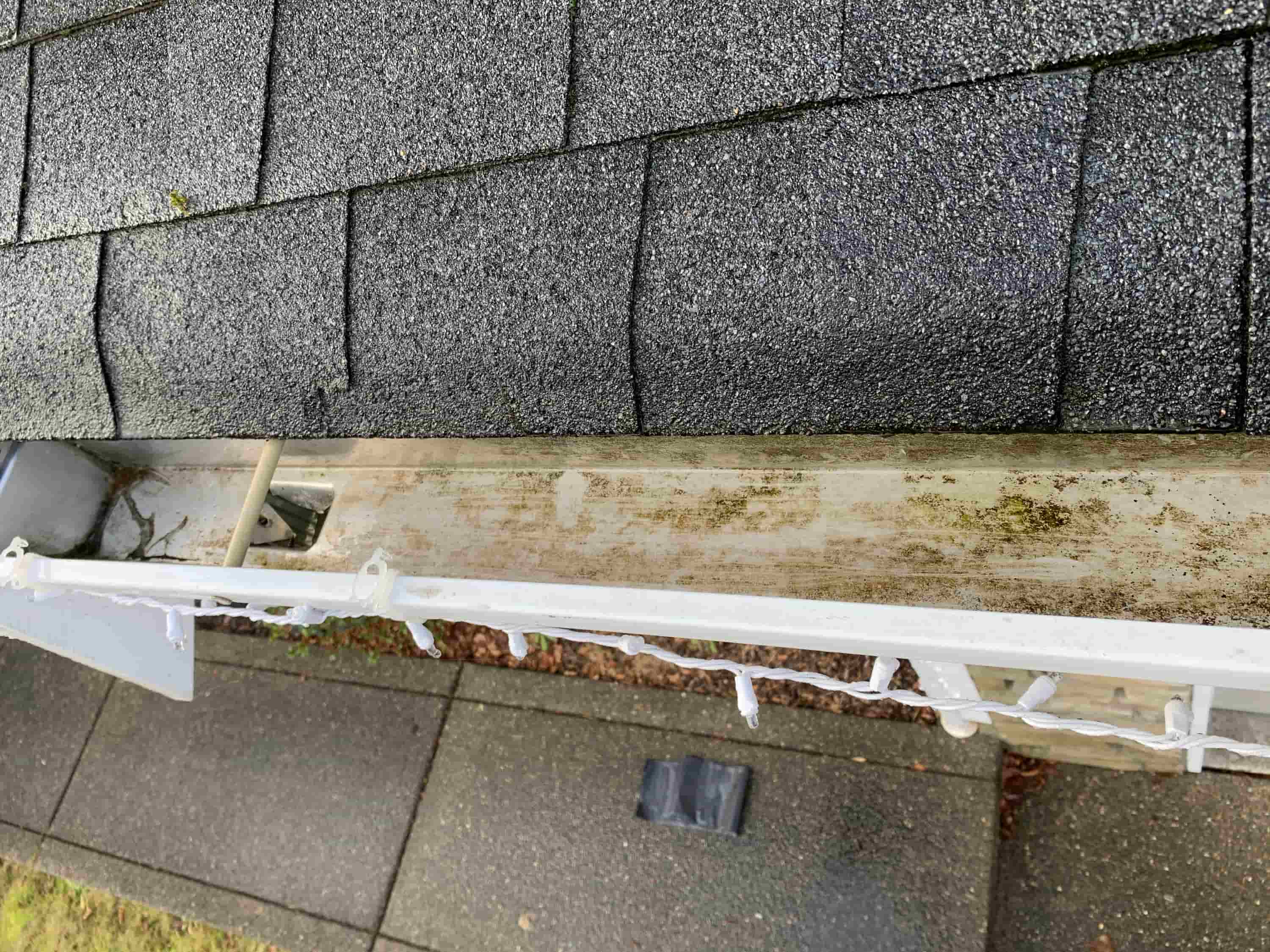 how to clean seamless gutters
