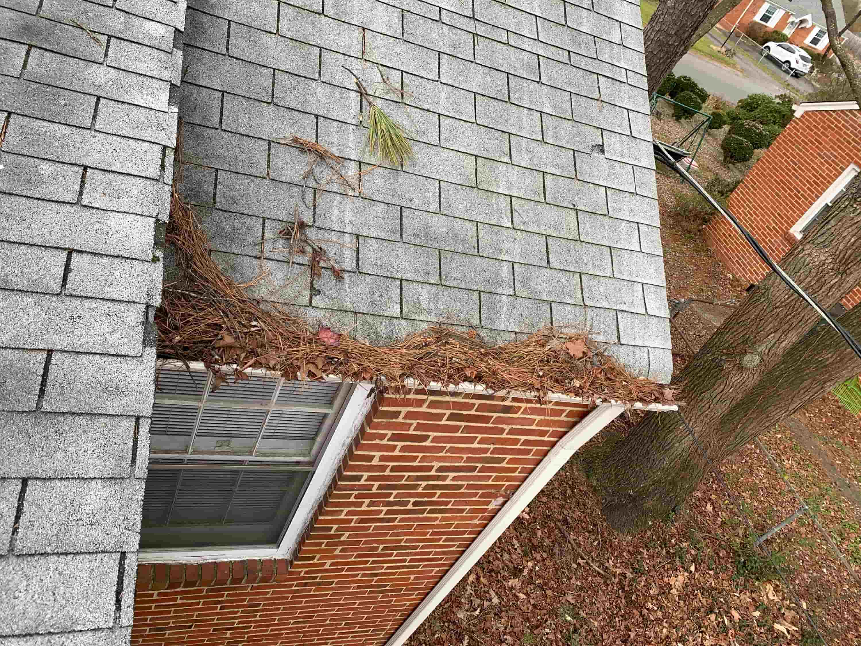 leaves in gutter